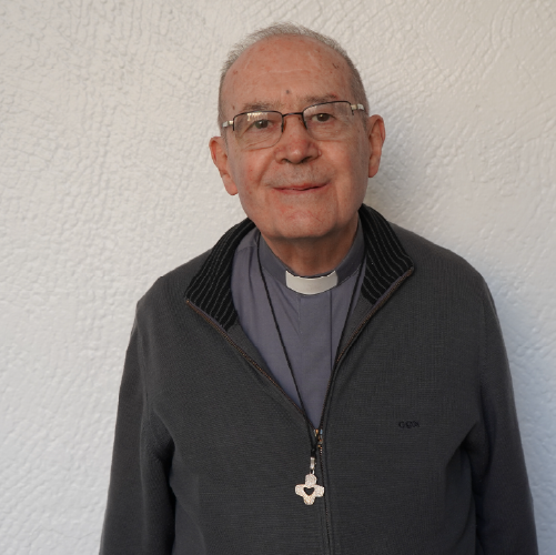 Mons. Virginio Domingo Bressanelli
