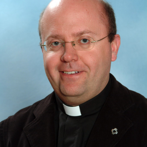 Fr. <b>Juan José Arnaiz Ecker</b>
