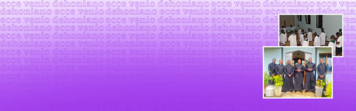 Remarkable Moments of the Dehonians in Mozambique