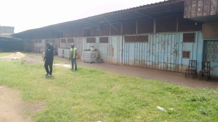 Giovani in difficoltà (JED): un’opera sociale dei Sacerdoti del Sacro Cuore in Camerun