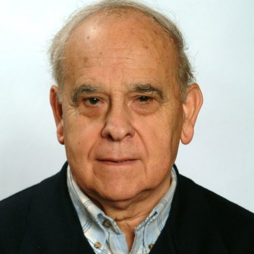 P. Julián Antonio Vega Lara
