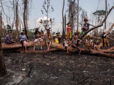 About the situation of the indigenous people in Brazil