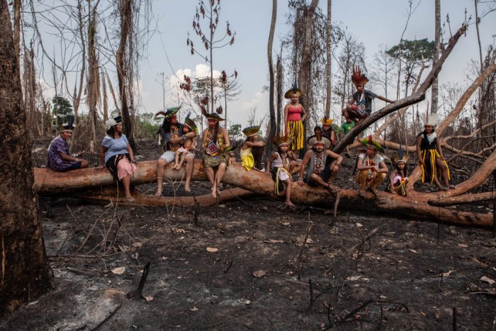 About the situation of the indigenous people in Brazil